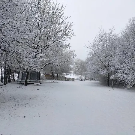 فندق مبيت وإفطار Emmylou 3*