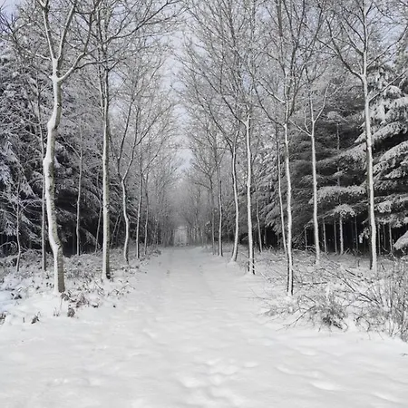 Emmylou Bed & Breakfast