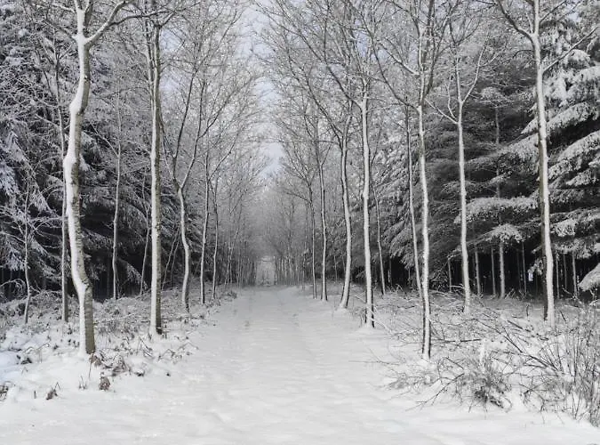 Emmylou Alojamento de Acomodação e Pequeno-almoço